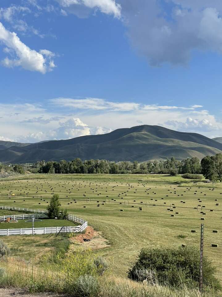 Alfalfa Hay Bales | Livestock | ksl.com