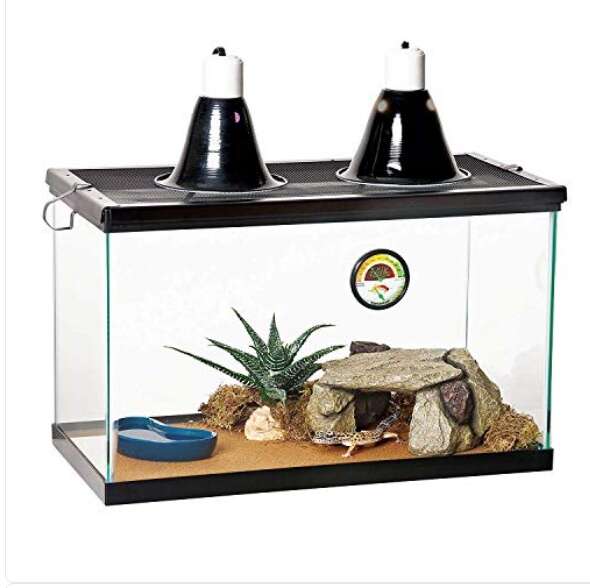 Zilla 10 Gallon Pet Reptile Starter Habitat Kit with Light and Heat for Small Desert Dwelling Animals