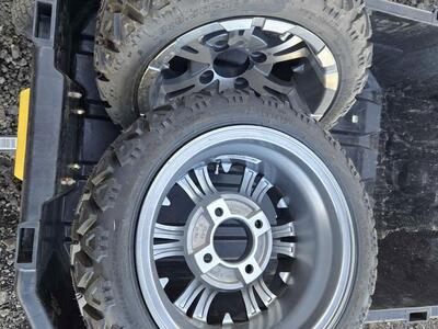 2 Steeleng 18x8.50-12 Golf Cart Tires and Wheels