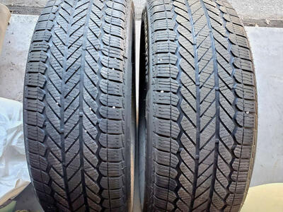Bridgestone WeatherPeak 225/55R19 AS