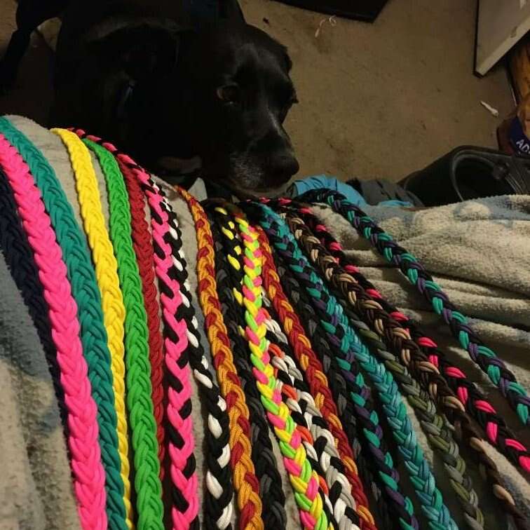 Custom Paracord dog leashes