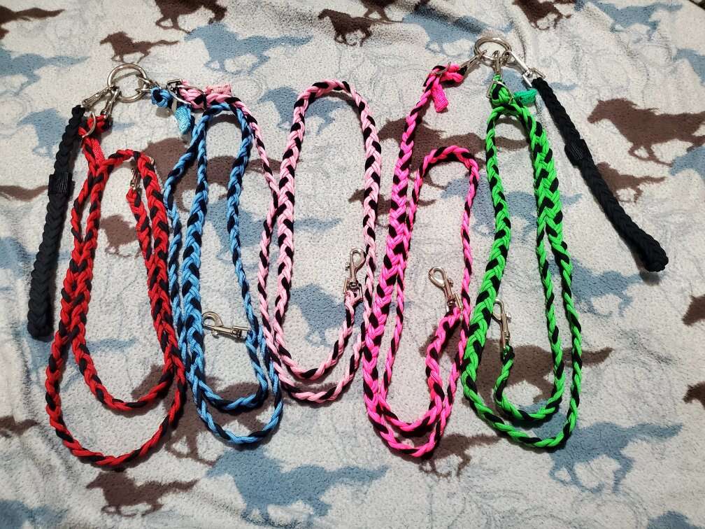 Custom Paracord dog leashes
