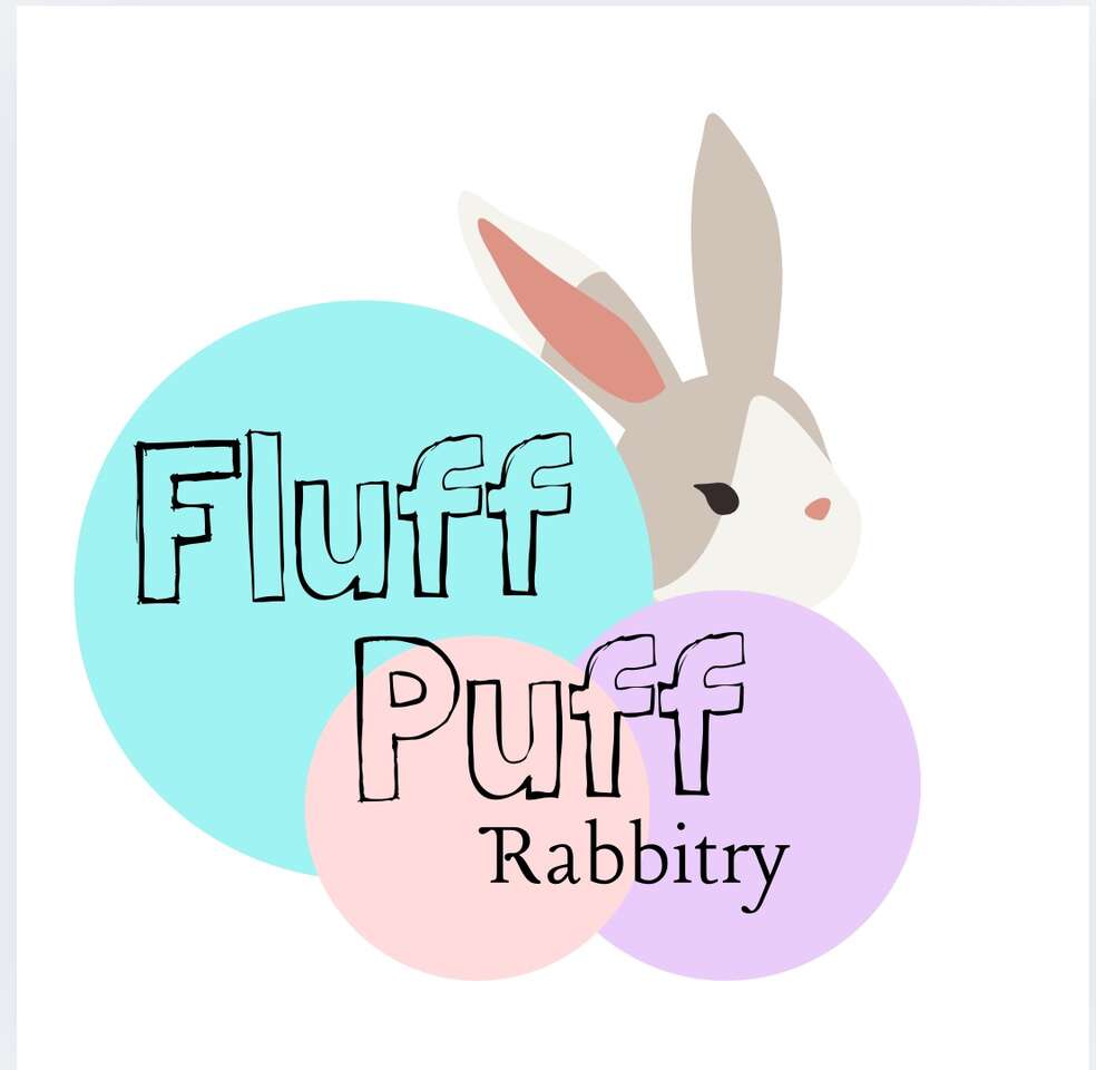 Fluff Puff Rabbitry --- English Angoras + NDs