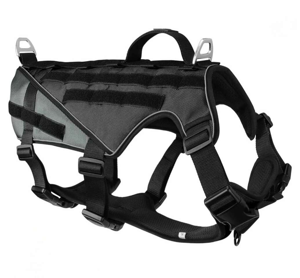 Training Service Dog Harness Vest Golden Retriever