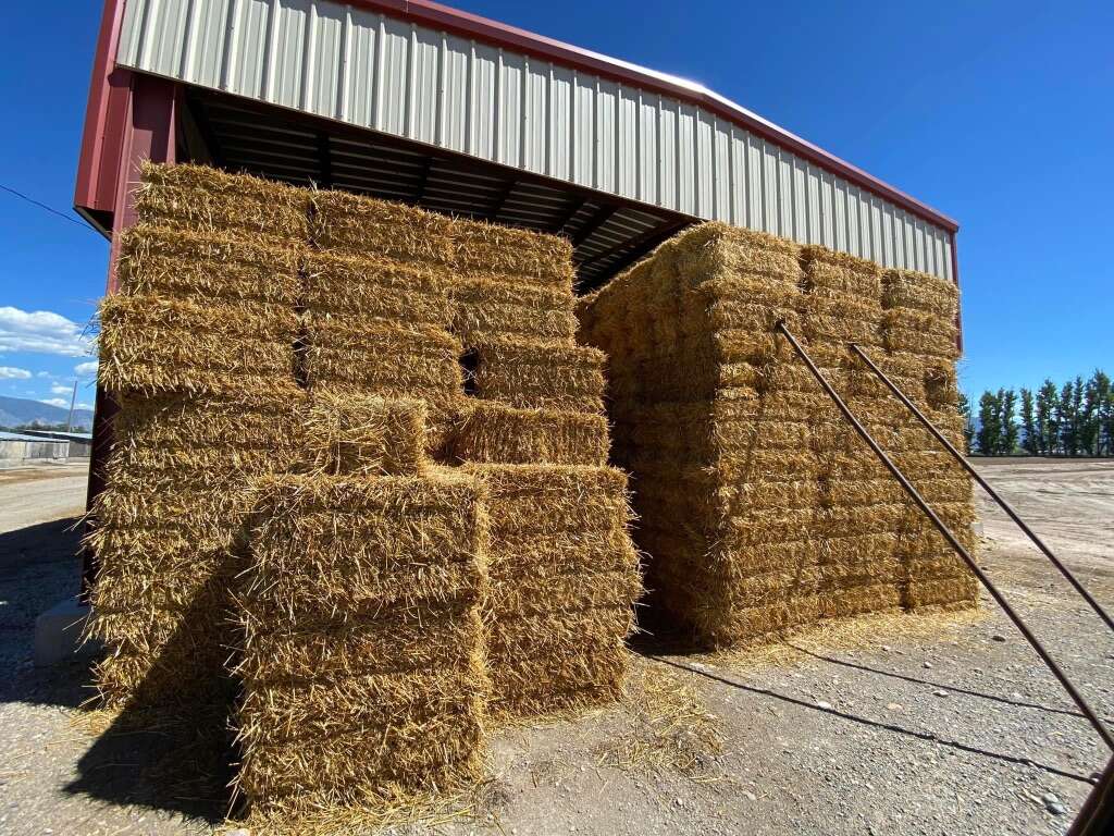 Wheat Straw Bales