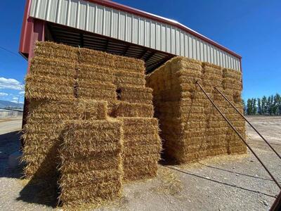 Wheat Straw Bales