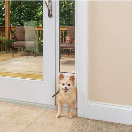 New large doggy pet dog cat door