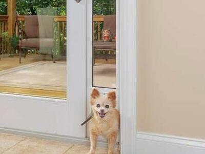 New large doggy pet dog cat door