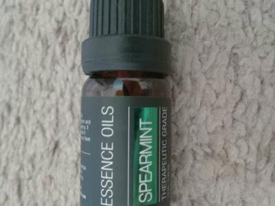 Essence Oils Plant Essential Oil-Spearmint