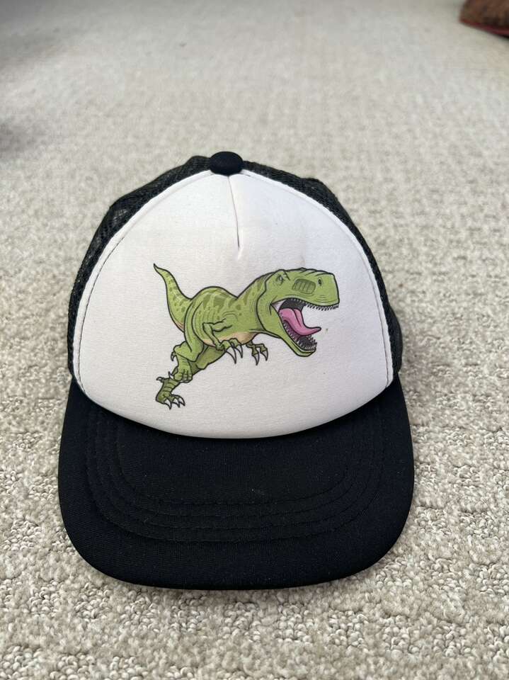Boys Dinosaur Hat