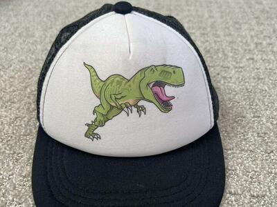 Boys Dinosaur Hat