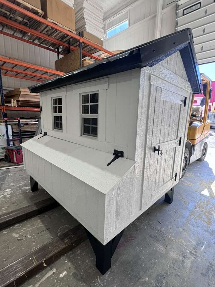 5x6 Chicken Coop