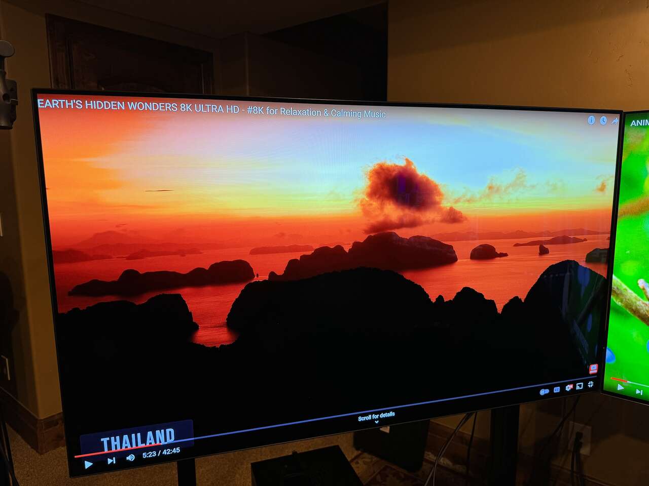 55 Inch LG OLED C1 Televisions Electronics