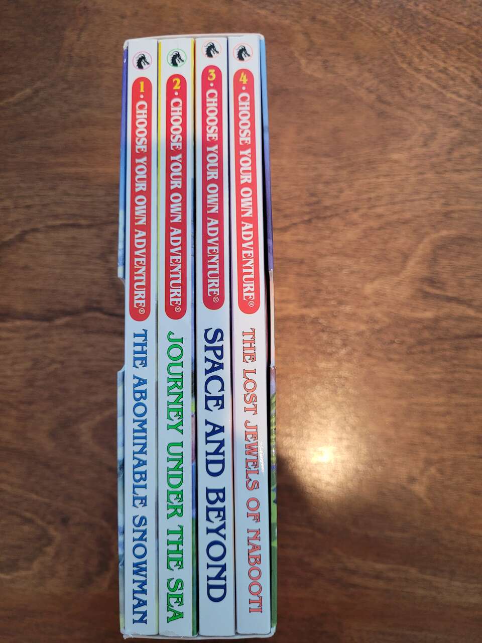 Choose your own adventure books