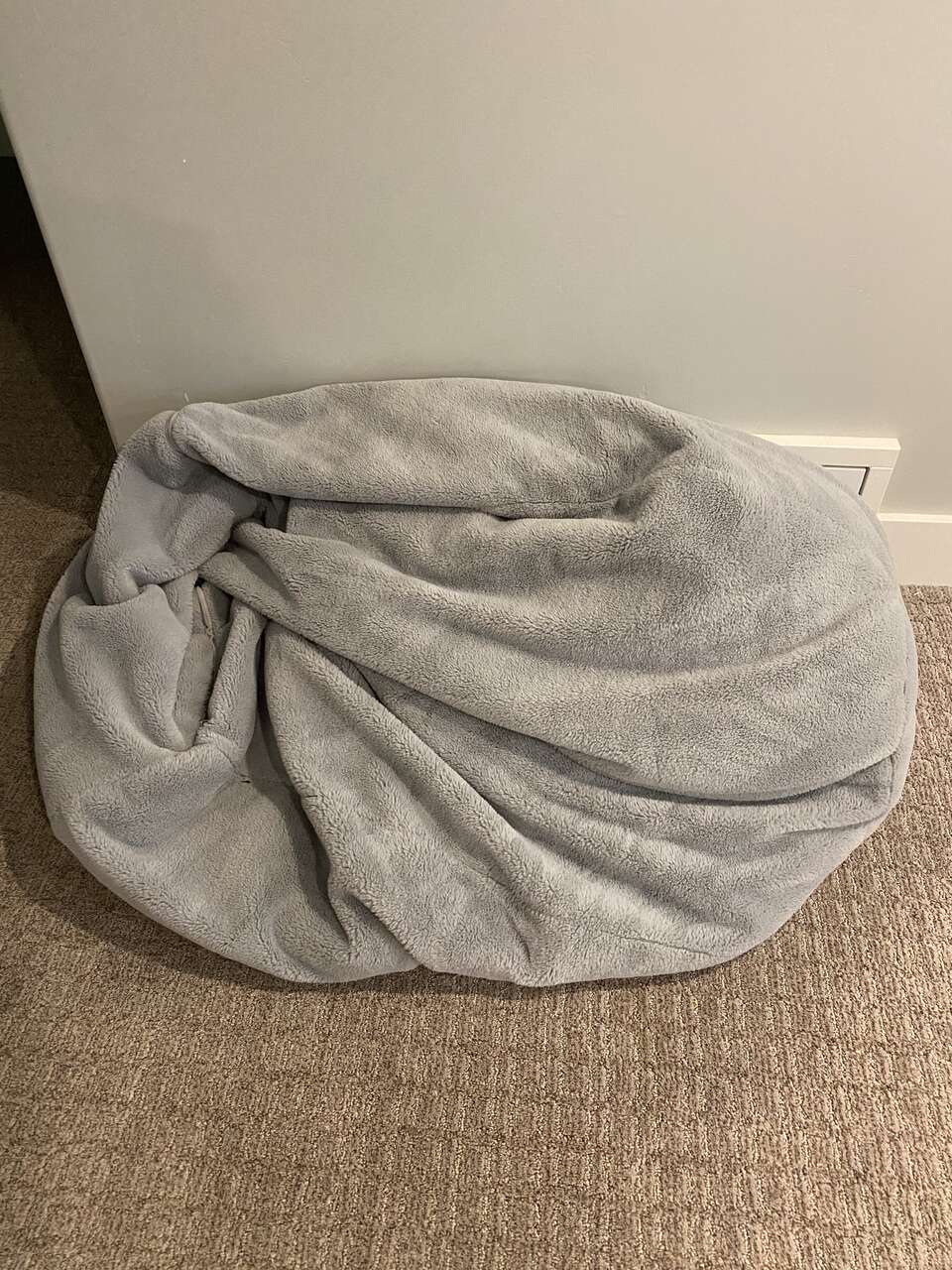 Pottery Barn Beanbag