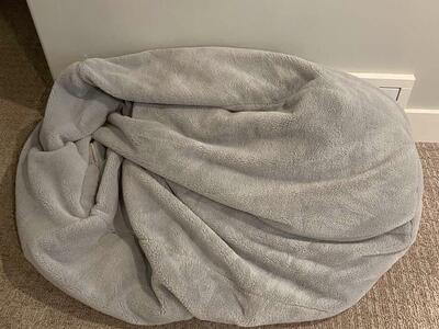 Pottery Barn Beanbag