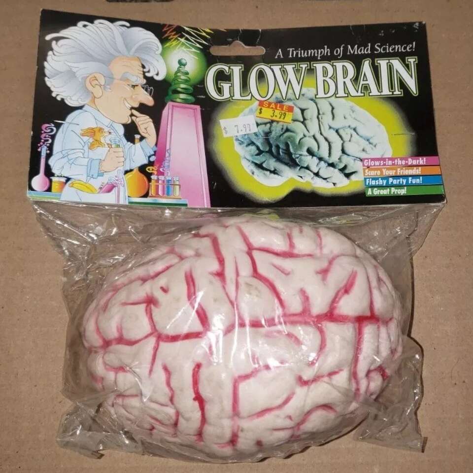 Glow Brain Prop, Glow in the Dark, Halloween