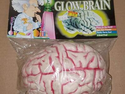 Glow Brain Prop, Glow in the Dark, Halloween