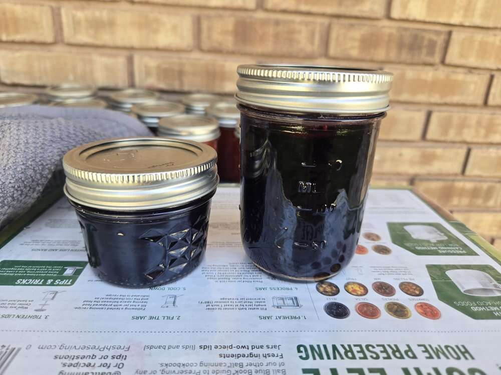 Elderberry jelly