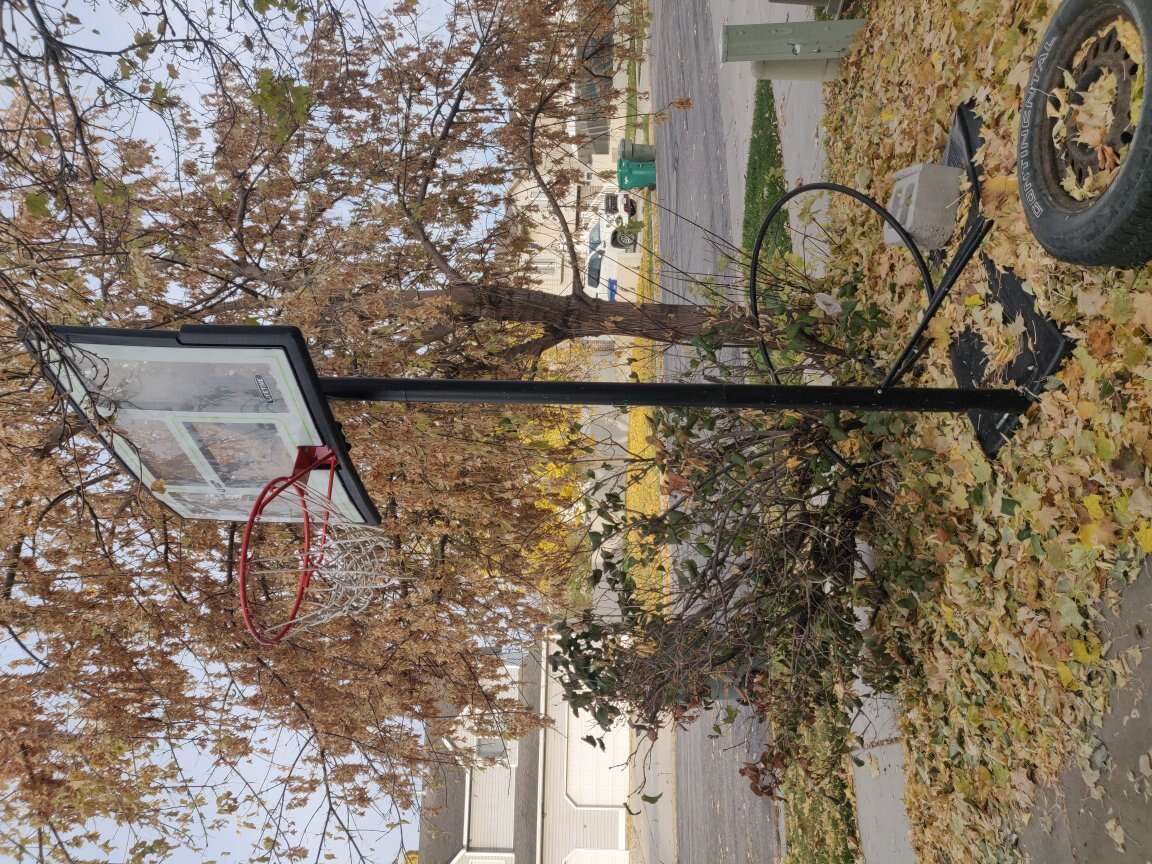 basketball hoop