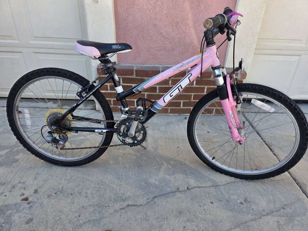 GT aggressor 24"