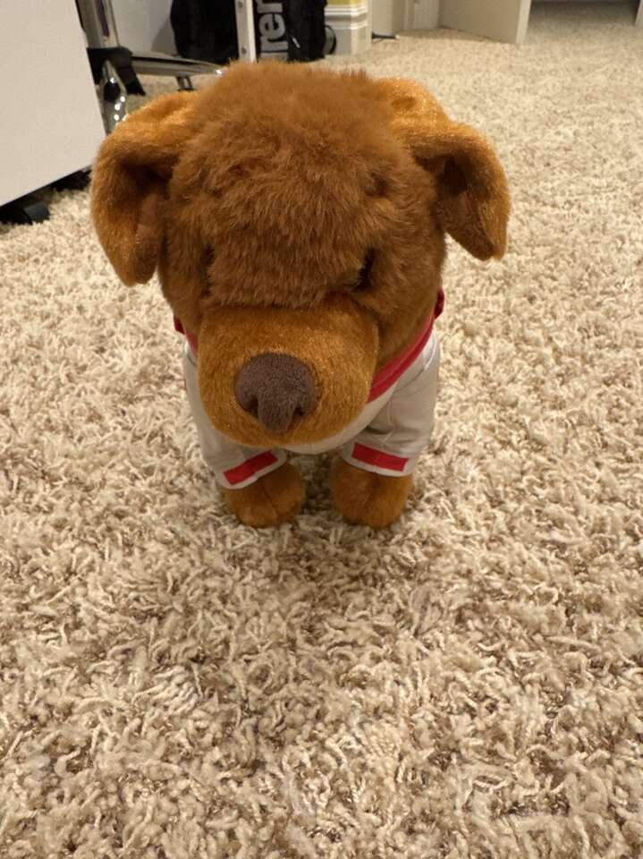 Space Dog Stuffed Animal