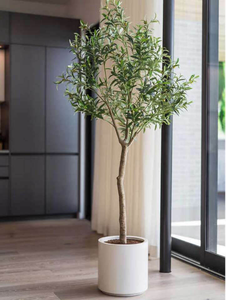 Faux 6.5' Olive Tree