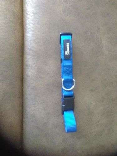 Collars, Some Reflective (Please see all pictures: Several Listed/Prices Listed)