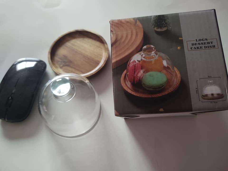 Mini Cheese/Succulent/Crafting Dome