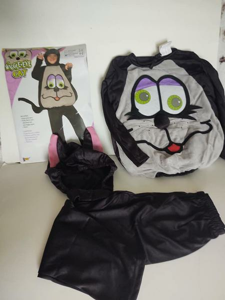 Halloween Costumes and Accessories (Adult and Kids) All Brand New (Individual prices listed)
