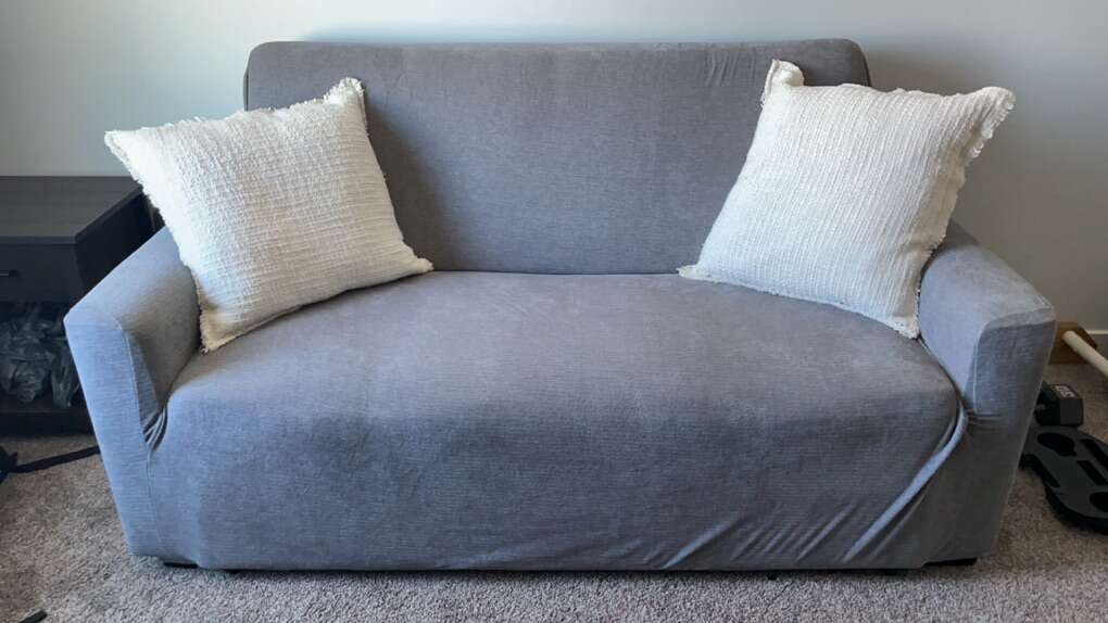 Apartment Sized Couch/Sofa Bed/Futon