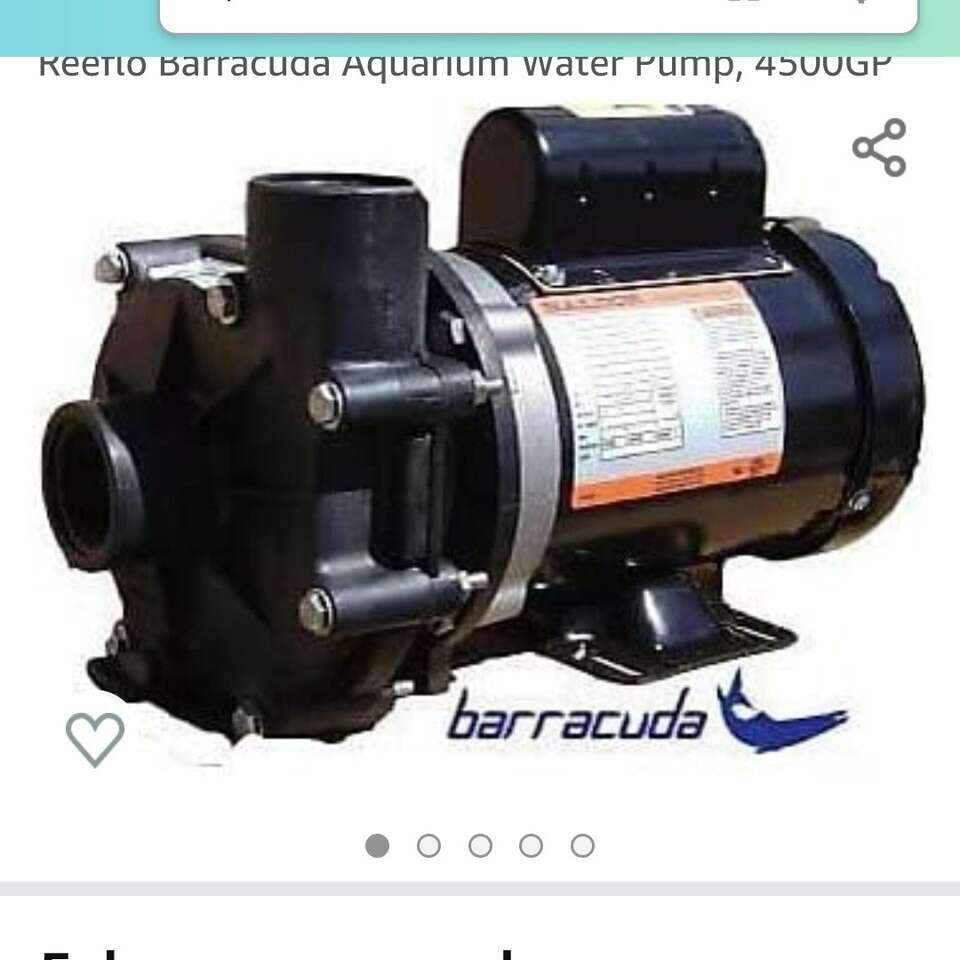 Reeflo barracuda pump Pets