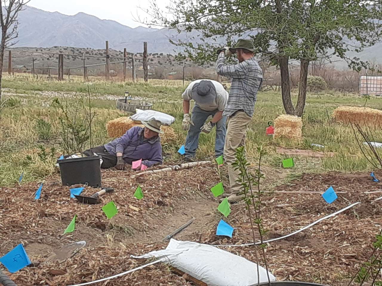 Garden Barn Raising Fun Day Sat May 8th 8 to 5pm of Helping and Learning Easy Self Sustainable Growing Food