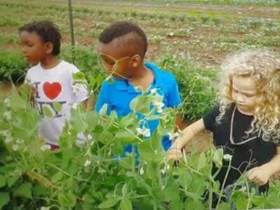 Reserve Your Spot for Learning about Nature Plamt Walk in Herbal and Food Forest with kids to learn a;out Nature Food Forest