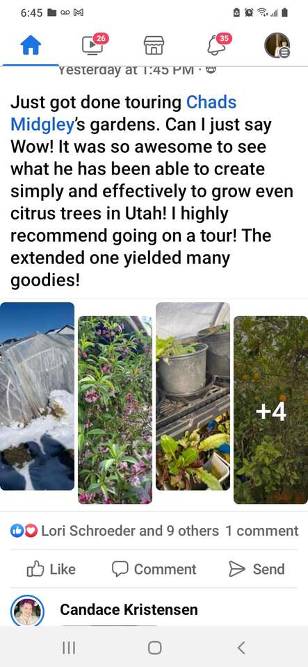 Plants, Seeds and pits now to Stratify outside all Winter and workshops