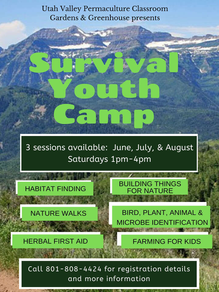 Half Off Summer Survival Youth Day Camp Nature Walks,