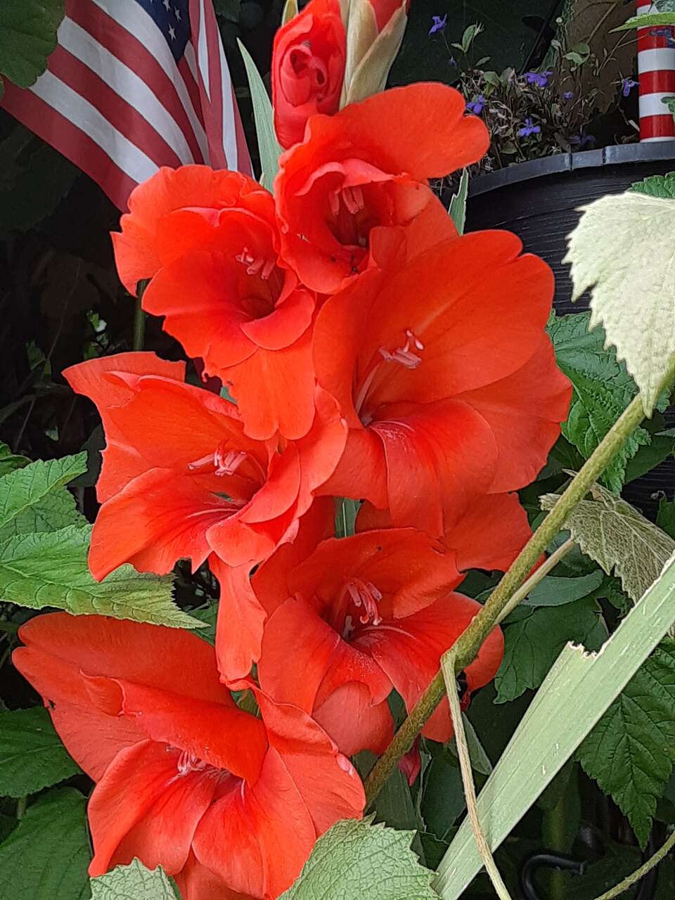 If you Get 1/2 off tickets  Tour &Taste 2026; Want to Learn to Design a Food Forest, forget Boxes