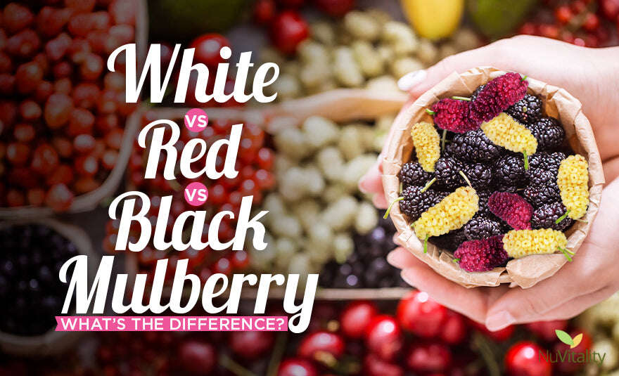 Seeds, Cuttings for sale see list organic and free class