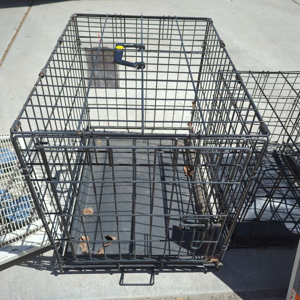 Dog crate medium