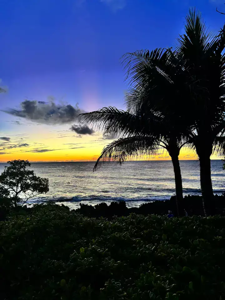 Turtle Bay Hideout Condo $320