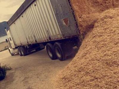Wood Shavings- Bulk