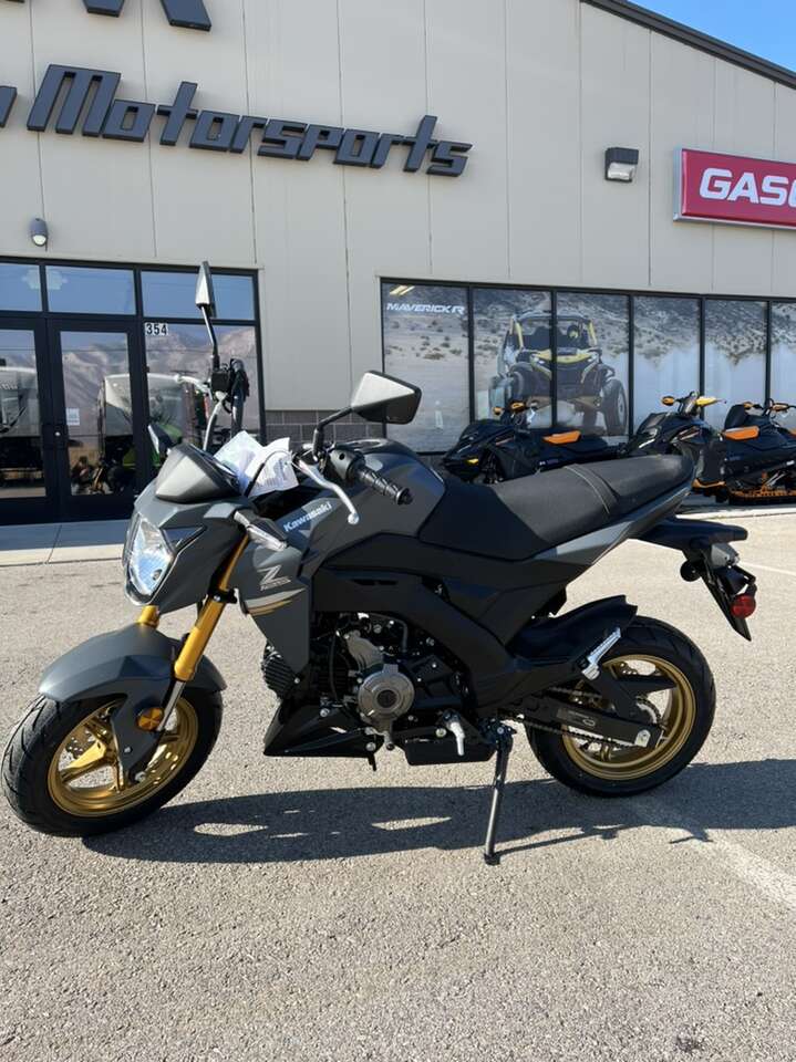 2024 Kawasaki Z125 Pro