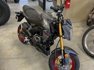2024 Kawasaki Z125 Pro