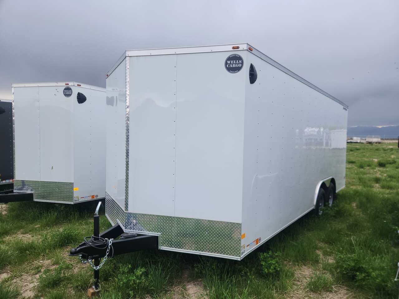 2024 WELLS CARGO FT8520T3-D