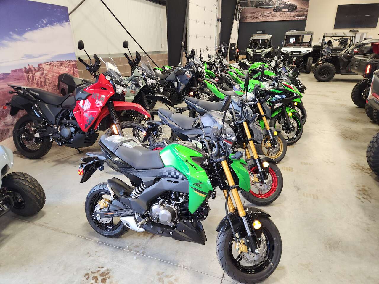2024  KAWASAKI Z125 Pro