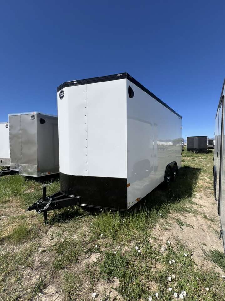 2024 WELLS CARGO RFV8516T3