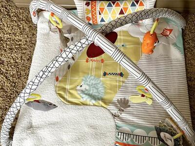 Fisher price deluxe infant floor play gym