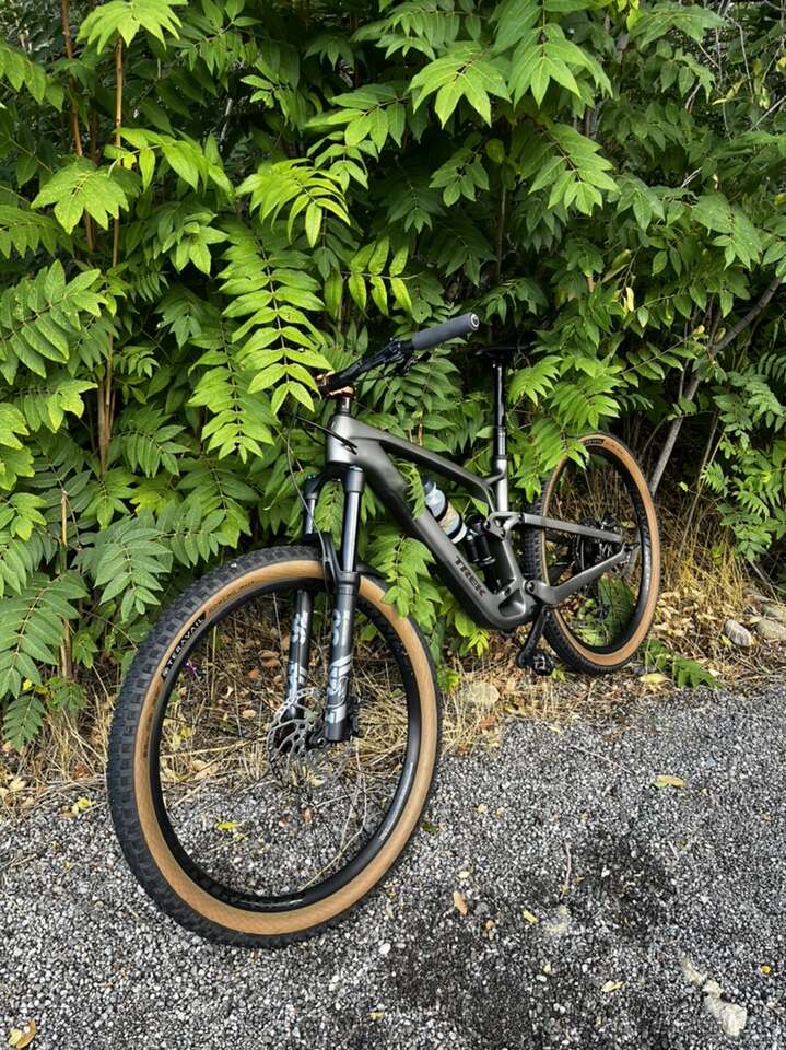 Trek fuel ex 9.7 for online sale