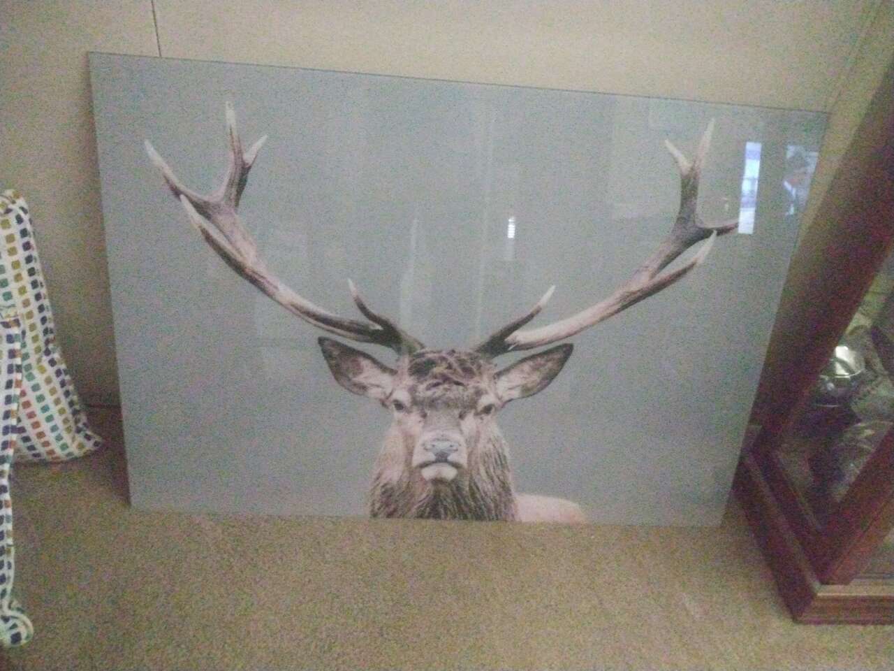 Elk photograph on glass
