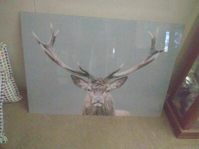 Elk photograph on glass